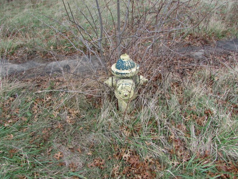 Illustration for article titled Me and the Subaru Visited Love Canal Today